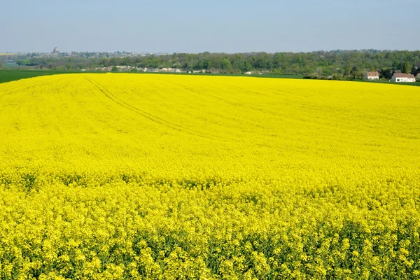 France, the picturesque village of Longuesse — Stock Photo, Image