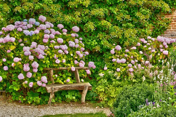 Normandie, pitoresk kale Miromesnil Tourville sur — Stok fotoğraf