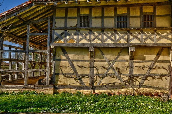 Francie, malebné Bresse muzeu v Saint Cyr sur Menthon — Stock fotografie