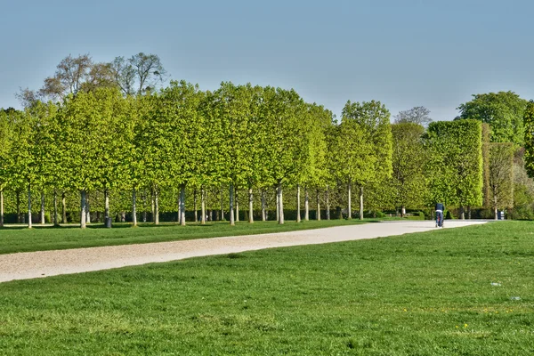 Francia, il pittoresco parco del castello di Saint Germain en Laye — Foto Stock