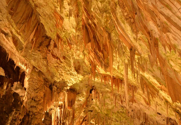 Eslovênia, caverna pitoresca e histórica de Postojna — Fotografia de Stock