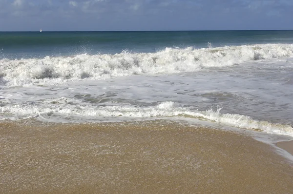 France, Martinique, Salines beach in Sainte Anne — Stock Photo, Image