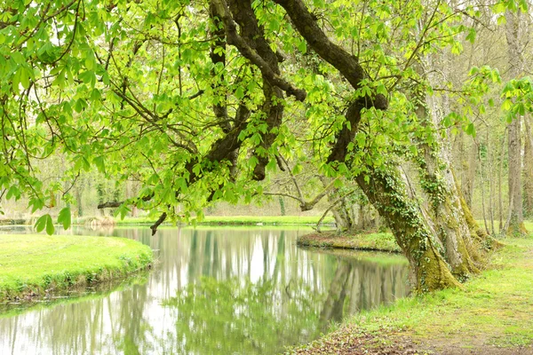 Frankrijk, pittoreske kasteel van Saulon la Chapelle — Stockfoto