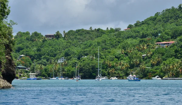 Het pittoreske eiland van Saint Lucia in West-Indië — Stockfoto