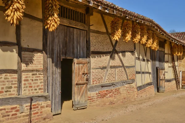 Frankrijk, pittoreske Bresse museum in Saint Cyr sur Menthon — Stockfoto