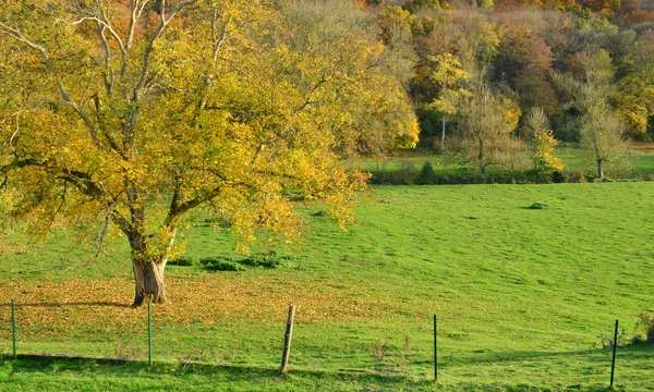 Landschaft des malerischen Dorfes Lisors in der Normandie — Stockfoto