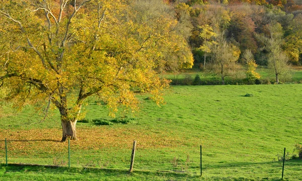 Krajina z malebné vesnice Lisors v Normandie — Stock fotografie