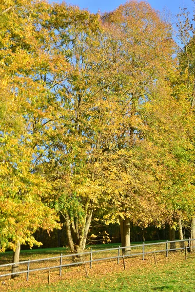 Normandie, мальовничі села Лайонс la Foret — стокове фото