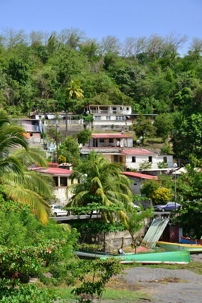 马提尼克岛，在西印度群岛的风景如画 Le Precheur 市 — 图库照片