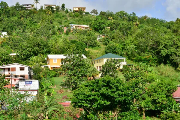 Martinique, malerische stadt riviere pilote in westindien — Stockfoto