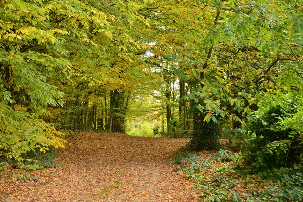 Frankrike, den pittoreska byn av Bazoches sur Guyonne — Stockfoto