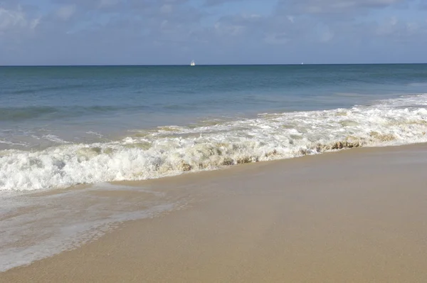 France, Martinique, Salines beach in Sainte Anne — Stock Photo, Image