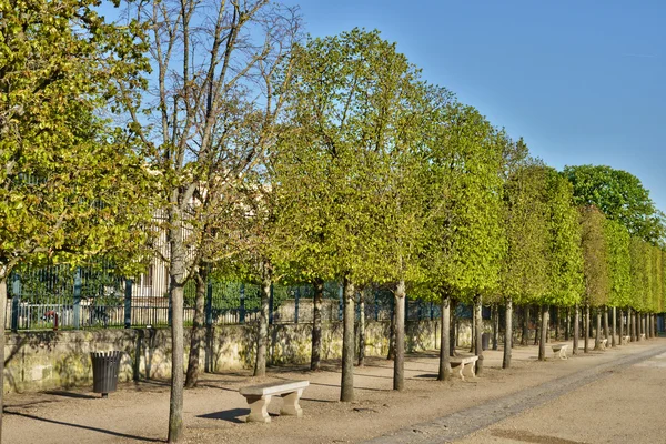 Fransa, pitoresk castle park Saint Germain en Laye — Stok fotoğraf