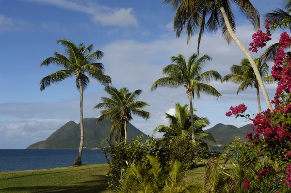 Landschap van Le Diamant in Martinique — Stockfoto