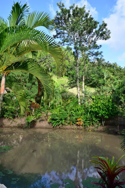 Martinique, malerische stadt les trois ilets in westindien — Stockfoto