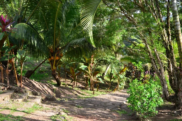 Martinique, pittoreska staden av Les Trois Îlets i Västindien — Stockfoto