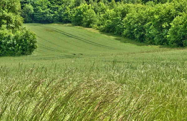 Ile de France, pintoresco pueblo de Brueil en Vexin —  Fotos de Stock