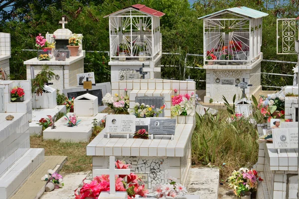 Мартиника, живописный город Sainte Anne in West Indies — стоковое фото