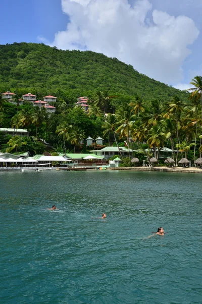 Het pittoreske eiland van Saint Lucia in West-Indië — Stockfoto