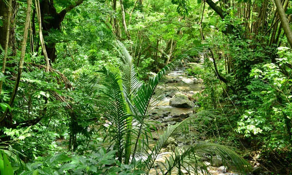 Martinique, pittoreske bewoning Cerón in Le Precheur in West — Stockfoto