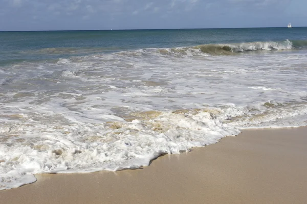 Frankrijk, martinique, salines strand in sainte anne — Stockfoto