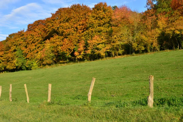 Landschaft des malerischen Dorfes Lisors in der Normandie — Stockfoto