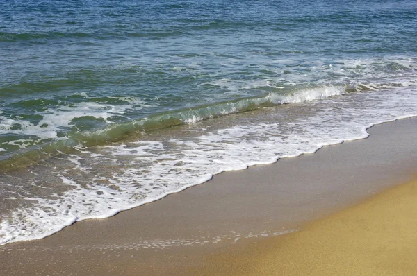 Martinique, Sainte Anne, strand van les Salines — Stockfoto