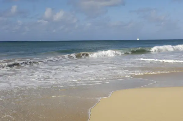 France, Martinique, Salines beach in Sainte Anne — Stock Photo, Image