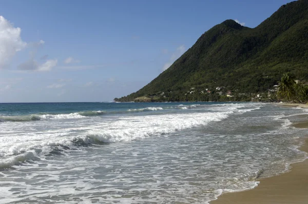 The coast of  Le Diamant in Martinique — Stock Photo, Image