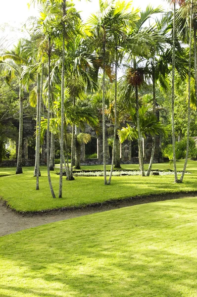 Malebná zahrada osídlení Anse Latouche v Martiniku — Stock fotografie