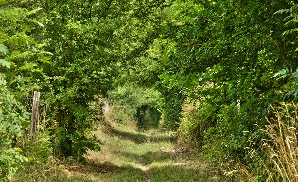 Francia, pittoresco paesaggio di Serans in Oise — Foto Stock