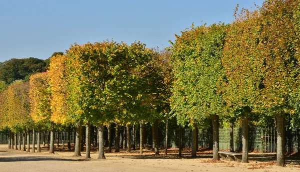 Ile de France, tarihsel Versailles Sarayı — Stok fotoğraf