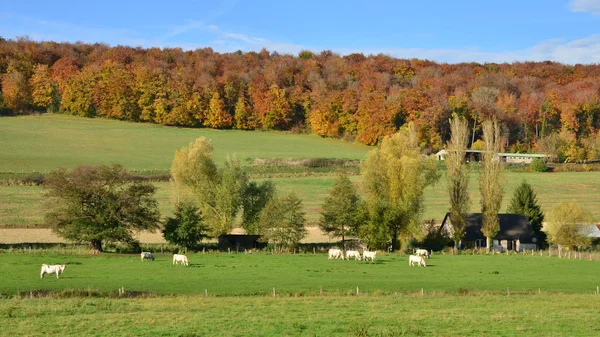 Normandie, pitoresk köy Rosay sur Lieure — Stok fotoğraf