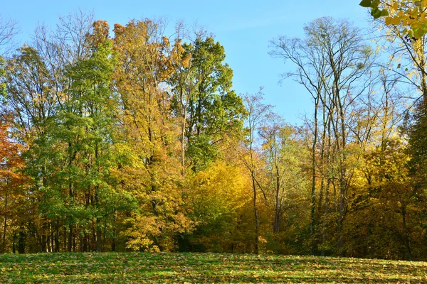 Normandie, Lyons pitoresk köy la Foret — Stok fotoğraf