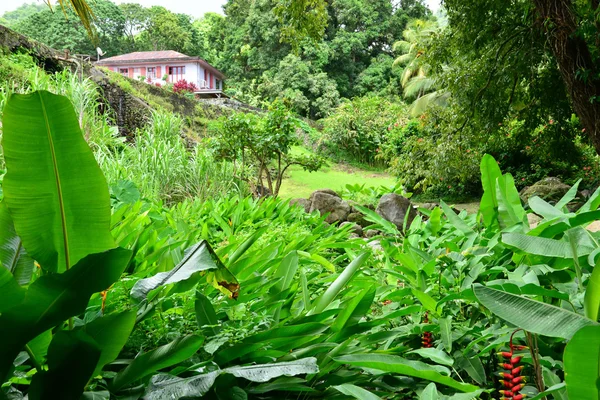 Martinique, malerisches Wohnhaus ceron in le precheur im Westen — Stockfoto