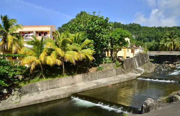 Martinica, pintoresco pueblo de Grand Riviere en las Indias Occidentales — Foto de Stock