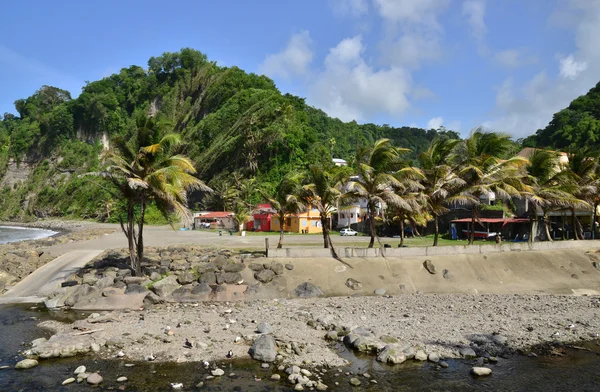 马提尼克岛，西印度群岛大里维埃风景如画的村庄 — 图库照片
