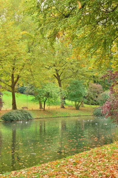 Frankreich, der malerische Messonier-Park der Vergiftung — Stockfoto