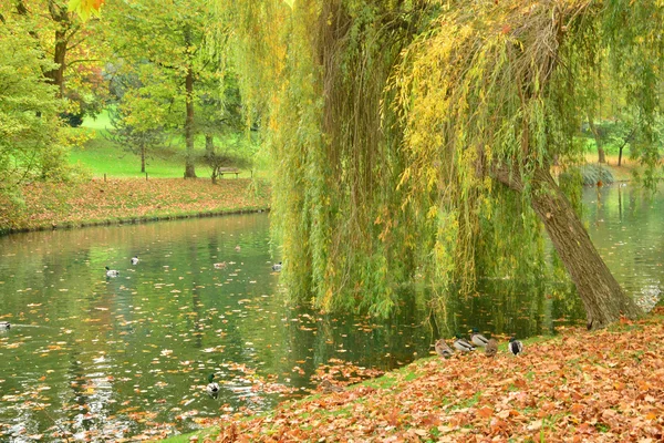 Francia, il pittoresco parco Messonier di Poissy — Foto Stock