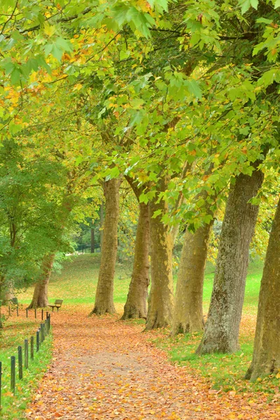 França, o pitoresco parque Messonier de Poissy — Fotografia de Stock