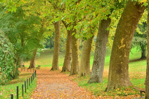 France, le pittoresque parc Messonier de Poissy — Photo