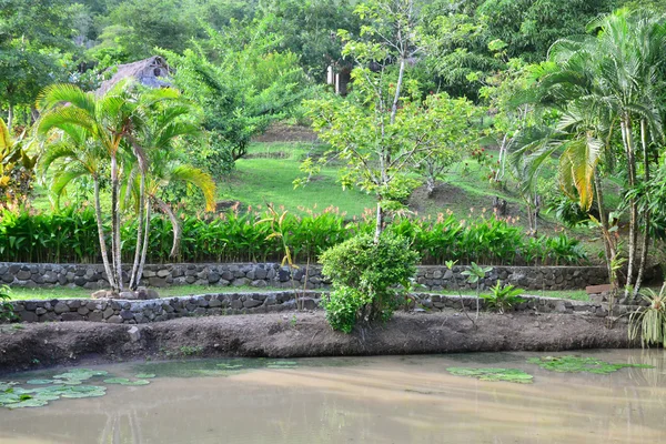 Martinique, malerische stadt les trois ilets in westindien — Stockfoto