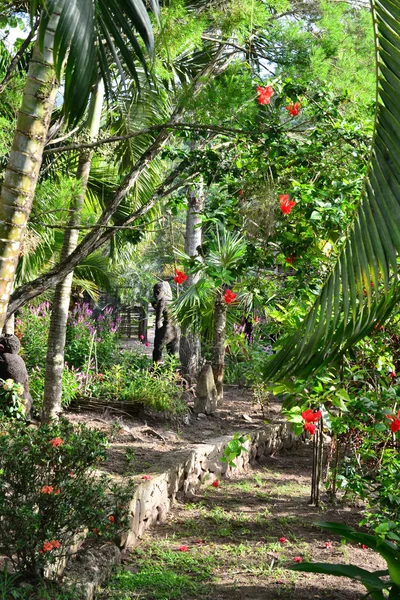 Martinique, ville pittoresque des Trois Ilets aux Antilles — Photo