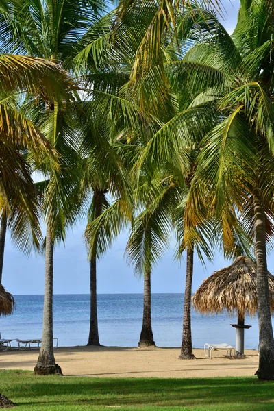 Martinica, pitoresca aldeia de Sainte Anne nas Índias Ocidentais — Fotografia de Stock