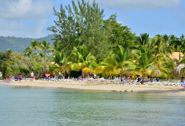 Martinique, pitoresk köy Sainte Anne Batı Hint Adaları — Stok fotoğraf