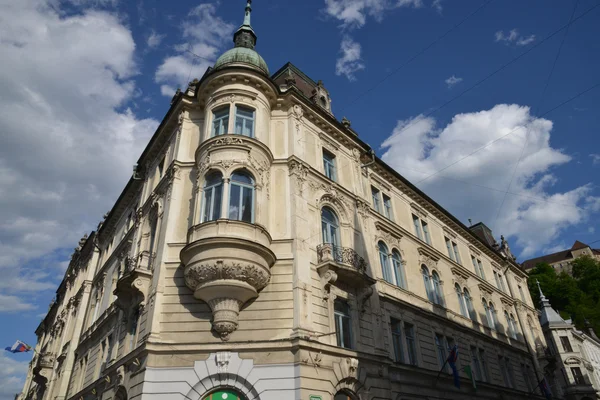 Slovenia, the picturesque and historical city of Ljubljana — Stock Photo, Image