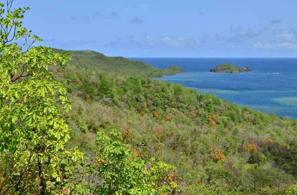 Martinique, schilderachtige stad van Tartane in West-Indië — Stockfoto