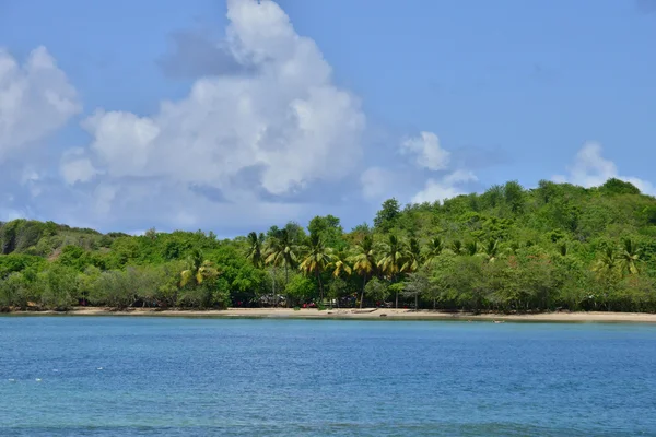 Martinique, Batı Hint Adaları pitoresk Tartane şehir — Stok fotoğraf