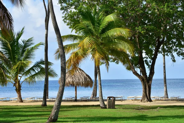 Martinique, picturesque village of Sainte Anne in West Indies — Stock Photo, Image