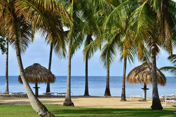 Martinique, pitoresk köy Sainte Anne Batı Hint Adaları — Stok fotoğraf